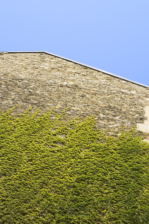 ciel bleu limpide et fa&ccedil;ade rong&eacute;e de verdure