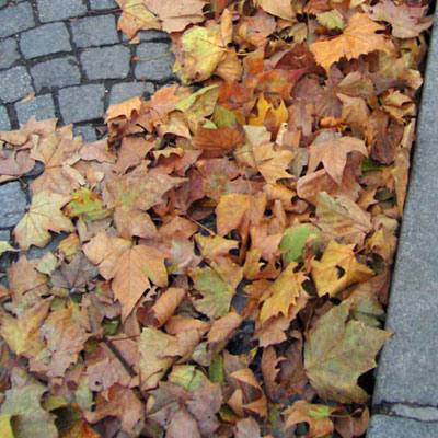 Un paquet de feuilles mortes jaunies contre le bord d'un trottoir Un paquet de feuilles mortes jaunies contre le bord d'un trottoir