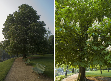 Parc Montsouris, 11 mai 2006